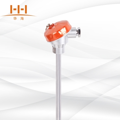 picture of wrn-120/130无固定装置装配式热电偶